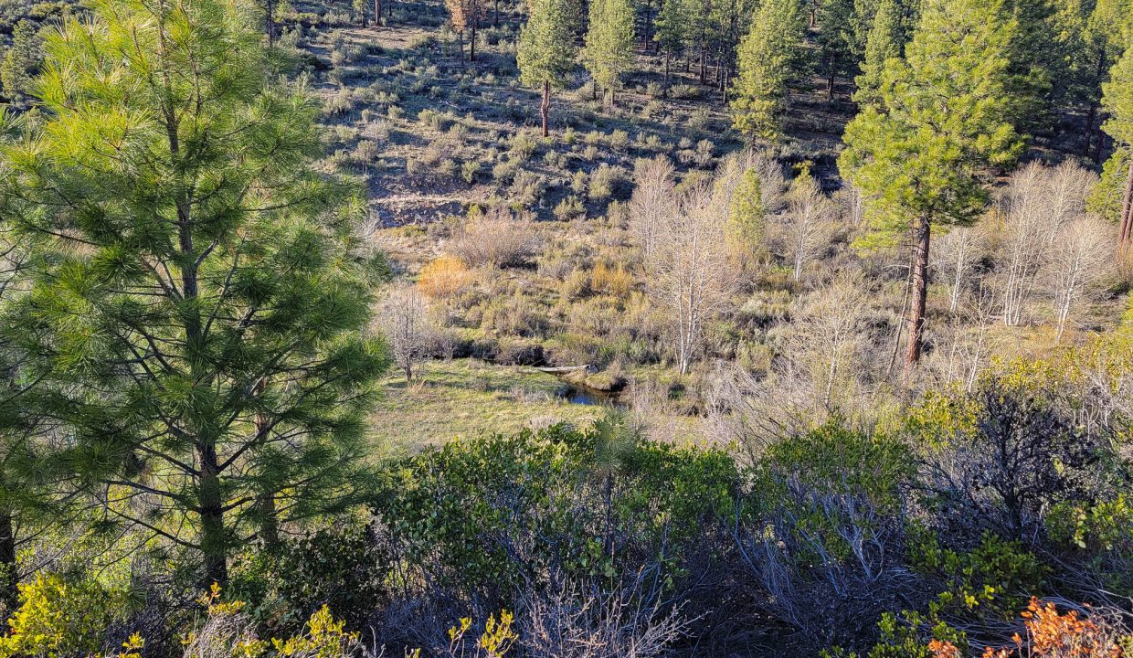 3510-014B0-03700 Meadow creek