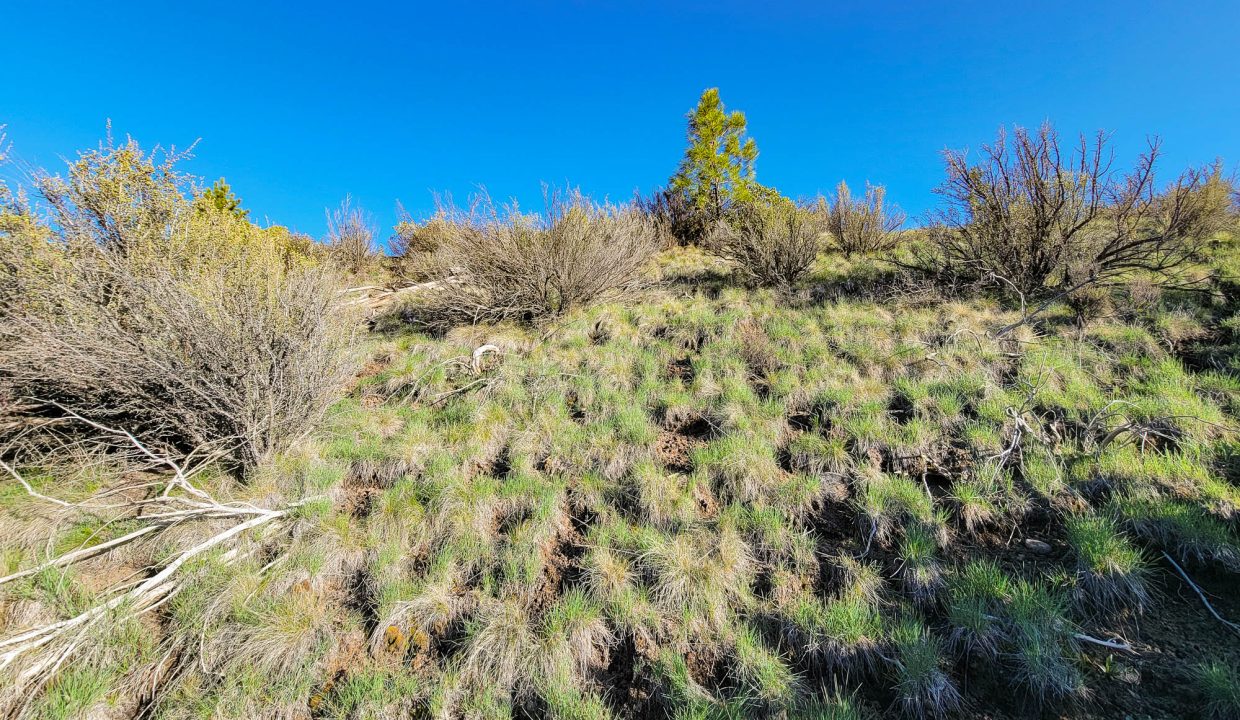 3510-014B0-03700 Open hillside