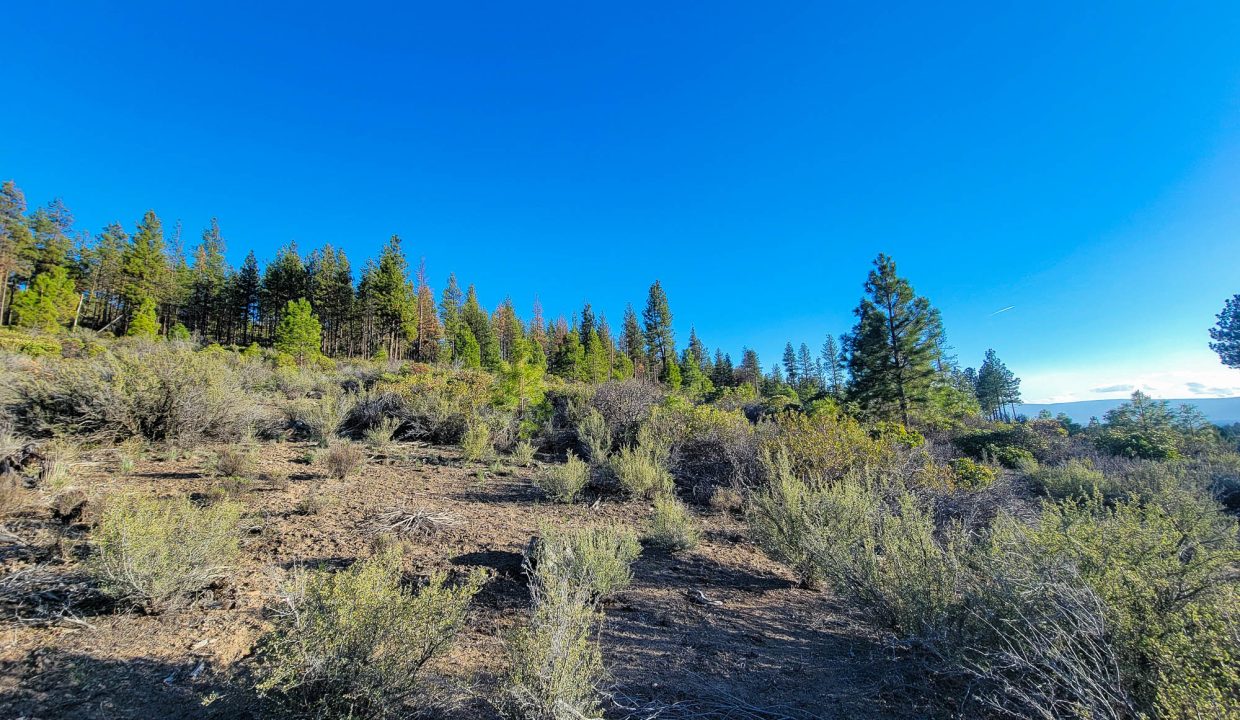 3510-014B0-03700 SW Corner Looking S