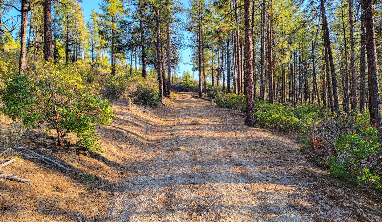 3510-014B0-04300 drive way 2