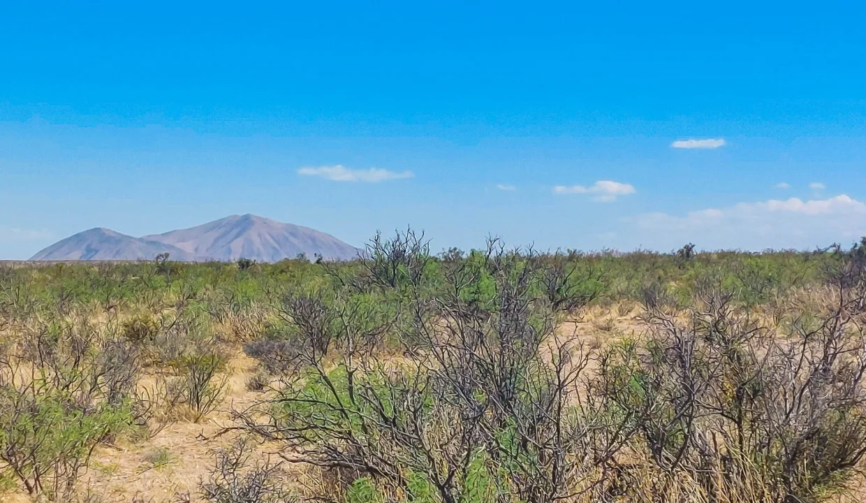 Area Image-4