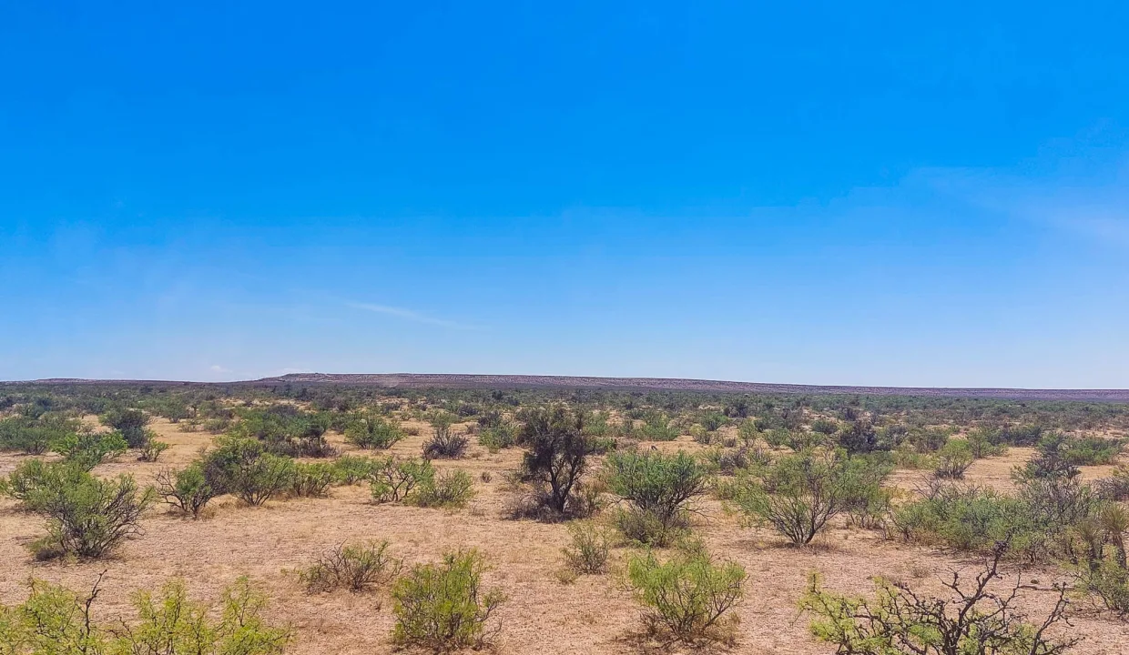 Area Image-6