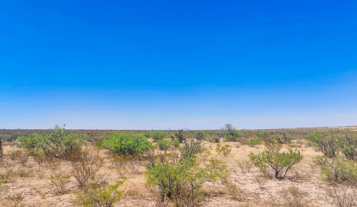 Area Image-16