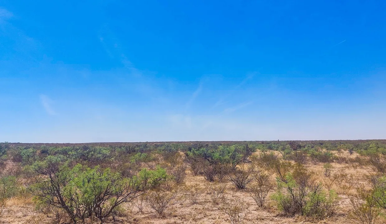 Area Image-17