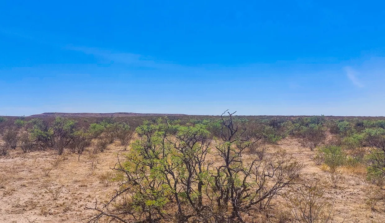 Area Image-18