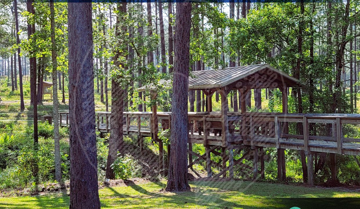 Falling Waters State Park - Walking Bridge to Turtle Lake