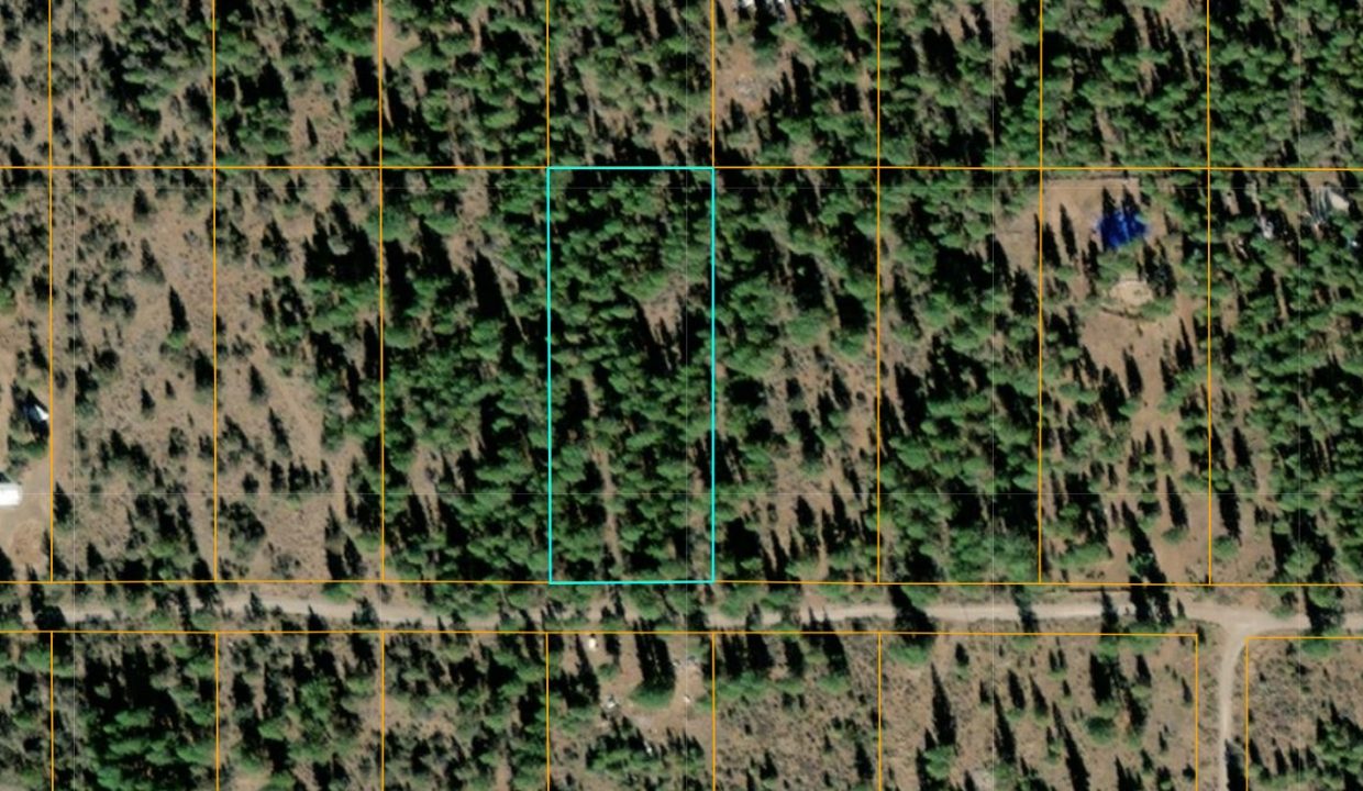 401381_GIS 1