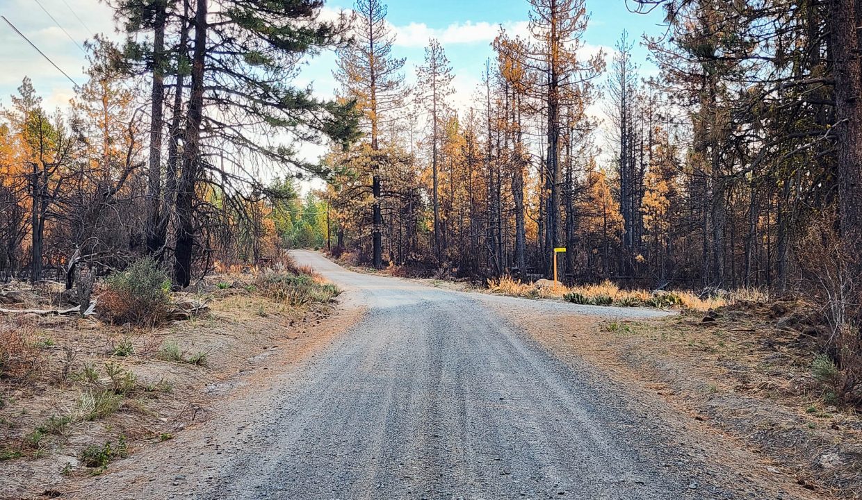 401381-Road to property 2