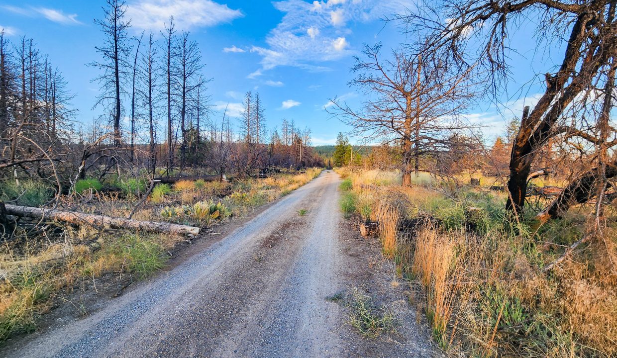 401381-Road to property 4