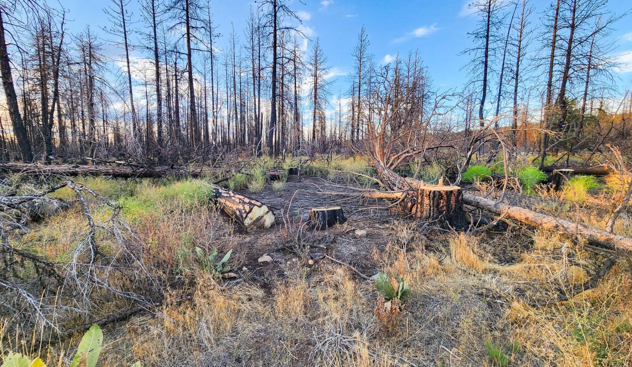 401381-S edge of property 1