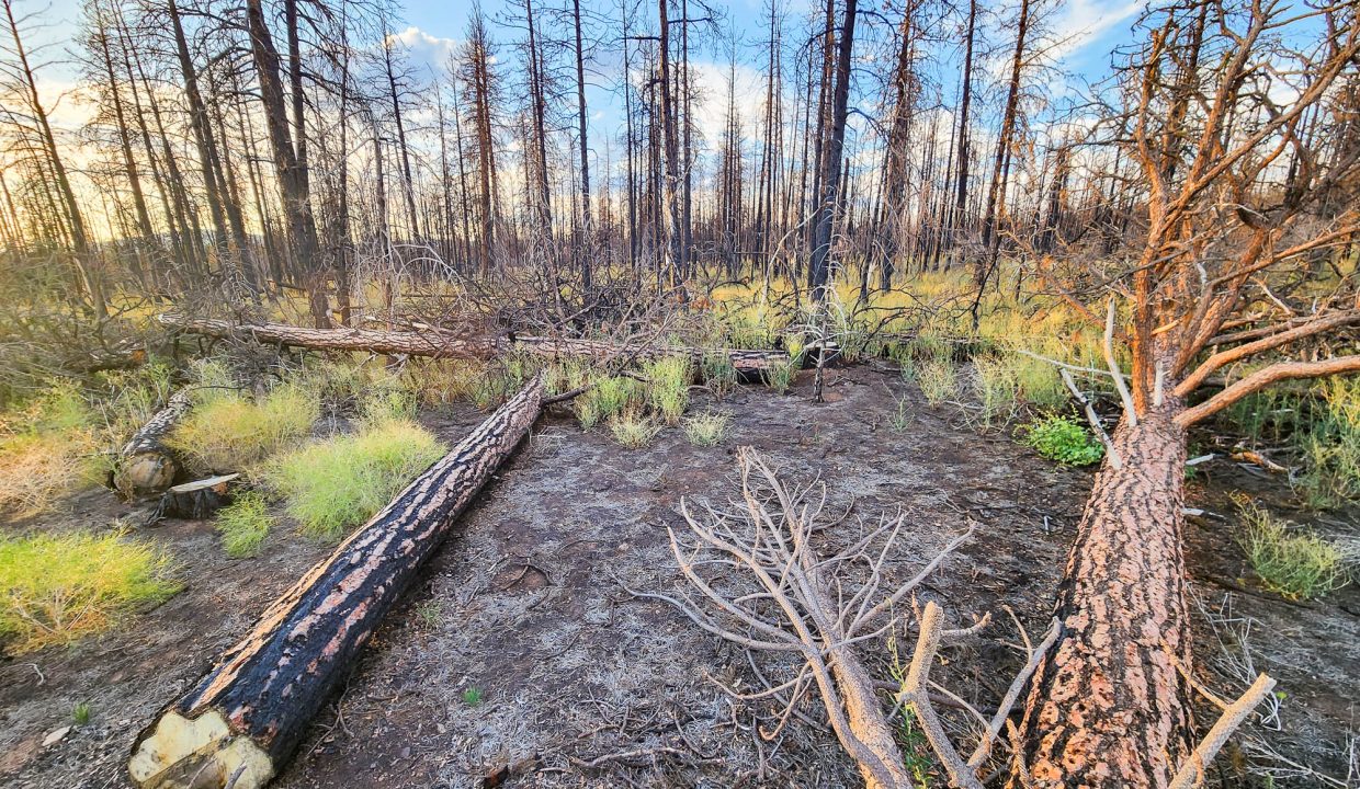 401381-S edge of property 2