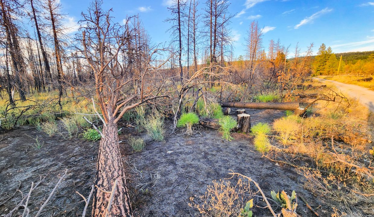 401381-S edge of property 3