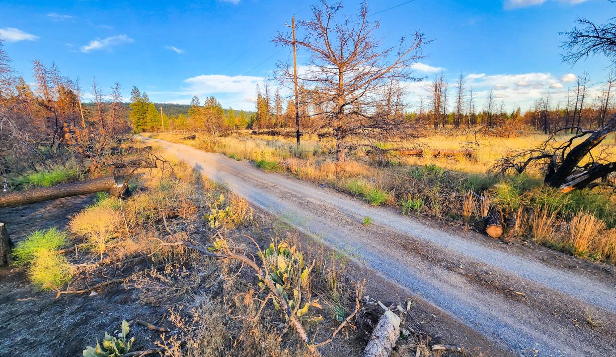 401381-S edge of property 4