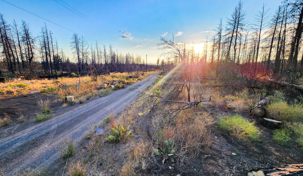 401381-S edge of property 6