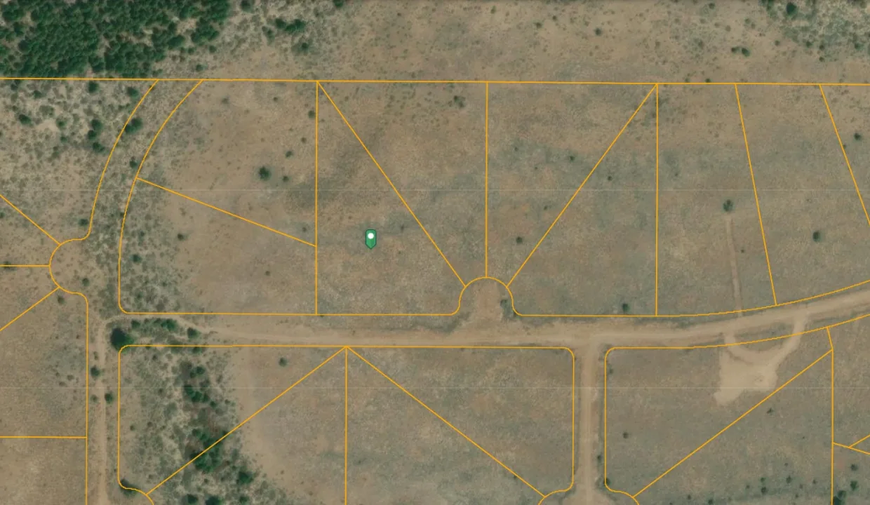 276347_GIS 1