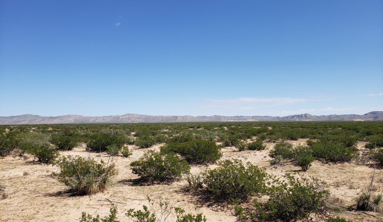 X57700031800370-East view of the property