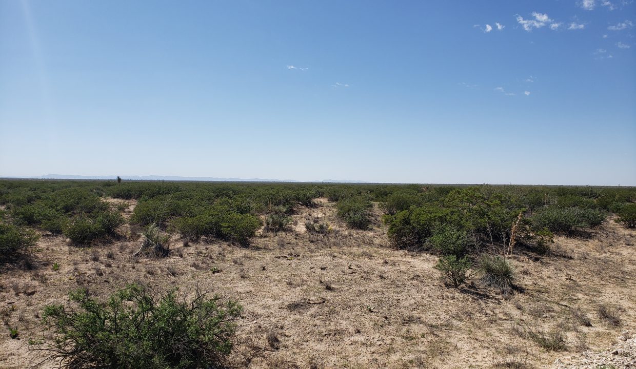 X57700031800370-North Eats view of the property