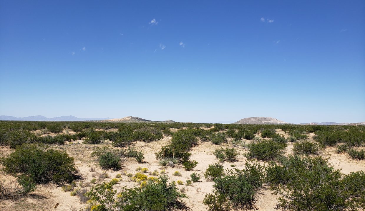 X57700031800370-South East view of the property