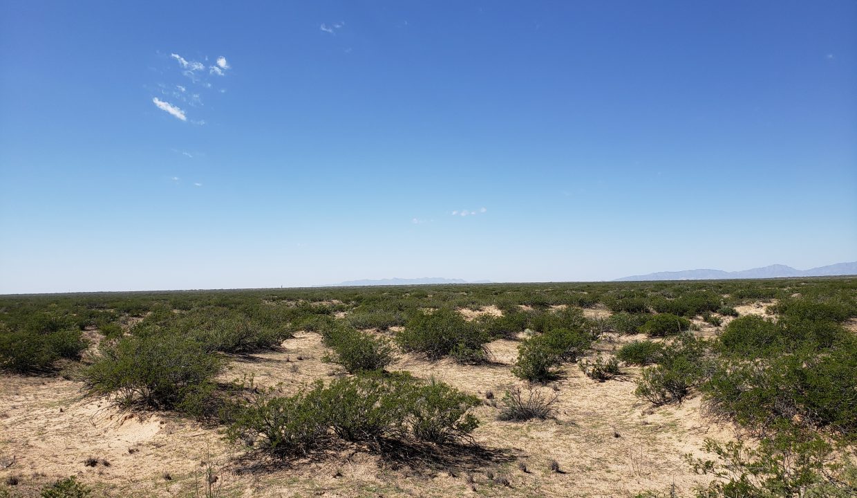 X57700031800370-South view of the property