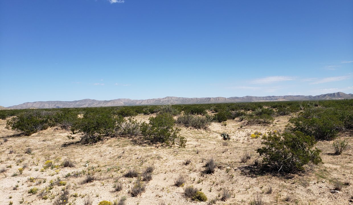 X57700031800370-South West view of the property