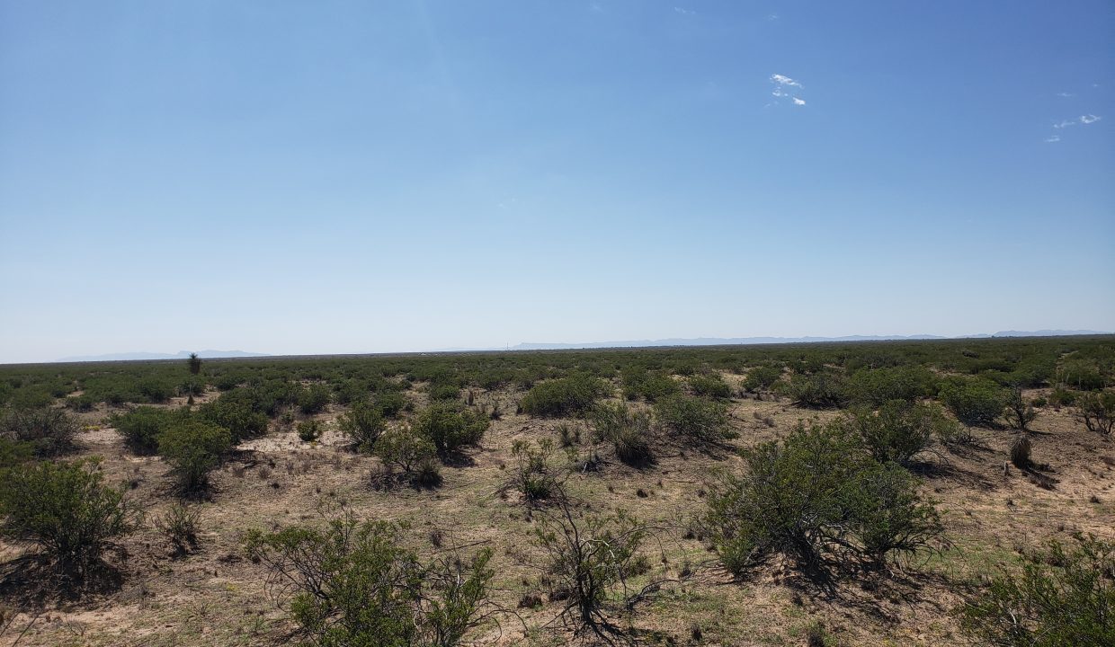 X57700031800370-West view of the property