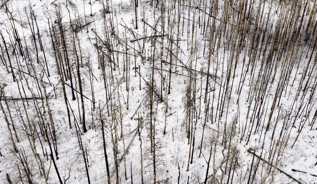 DJI_0645_Moment(6)