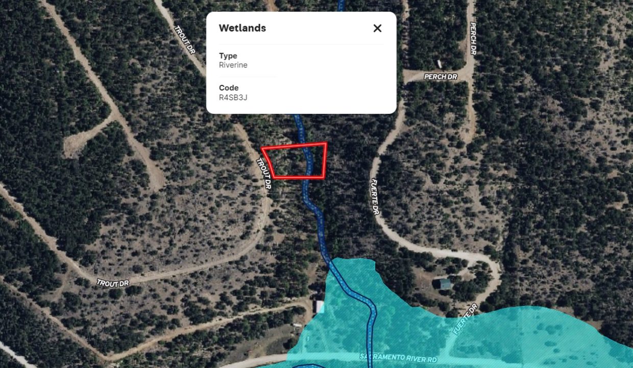 11O4072113475333_Wetlands Map