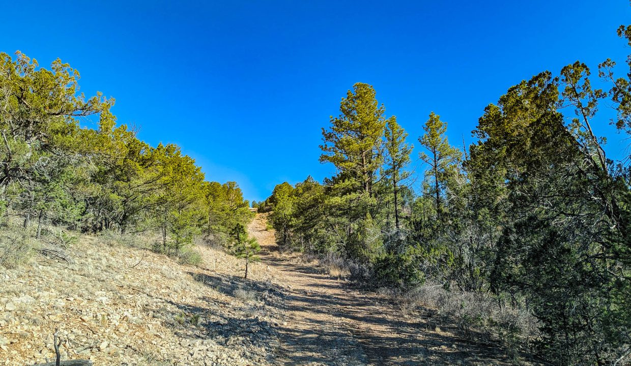 11O4072113475333-Looking N from road, property is to the right