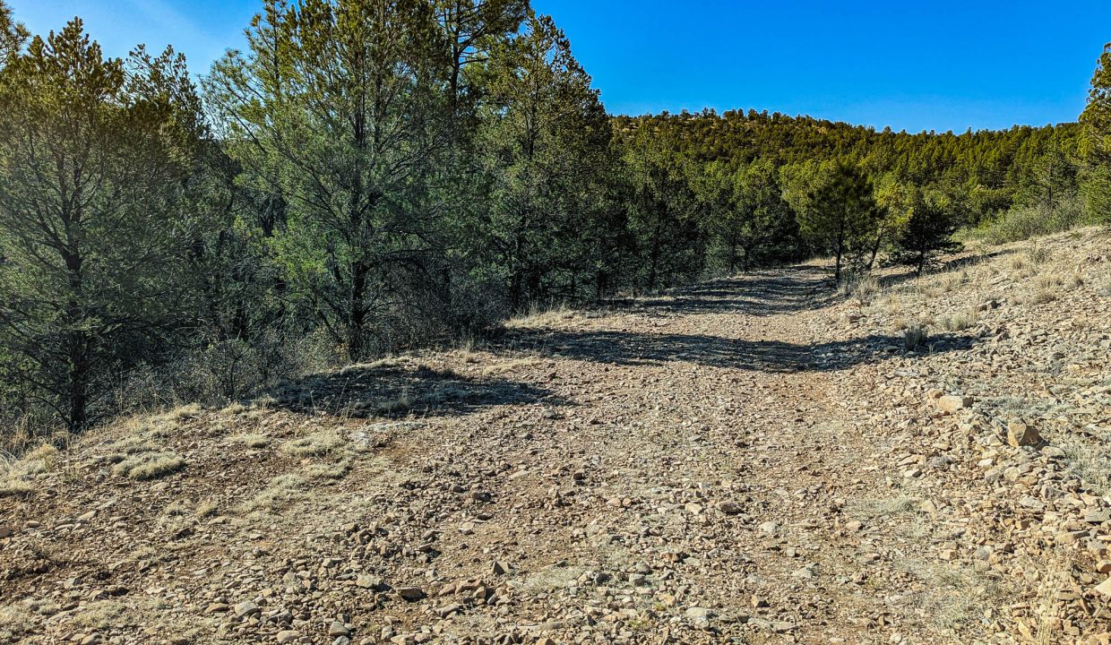 11O4072113475333-Property is to the immediate left, looking S on the road