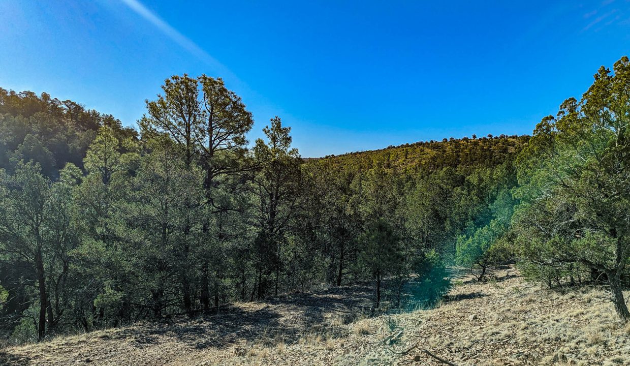 11O4072113475333-Standing across road from property looking S by SE to the road