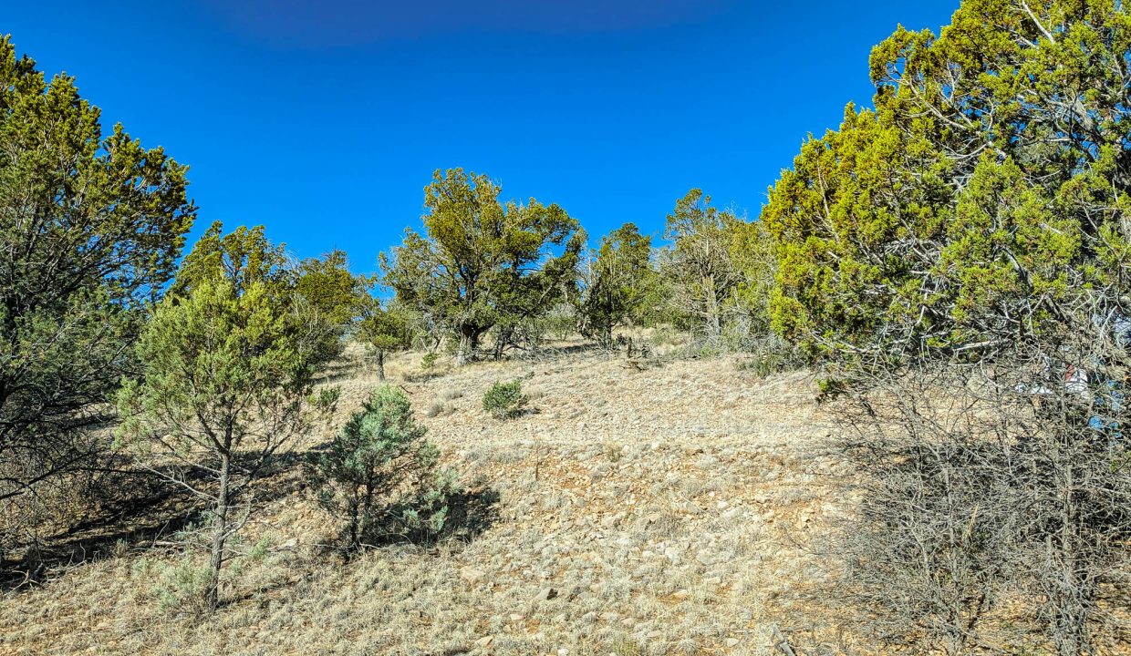 11O4072113475333-Standing at property border looking across road to the W