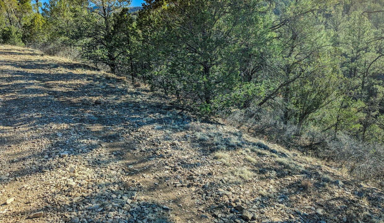 11O4072113475333-W border of property looking N by NE from road