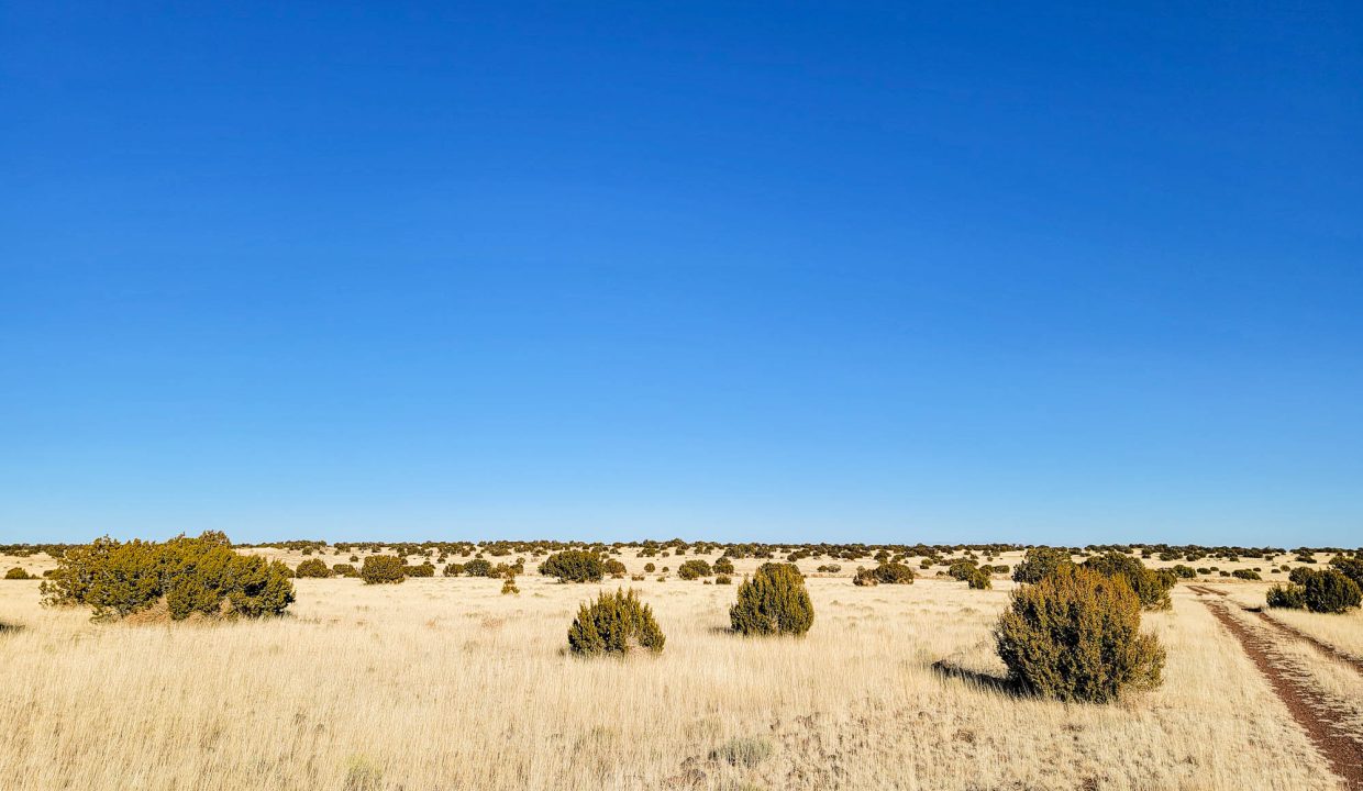 20220120_152318