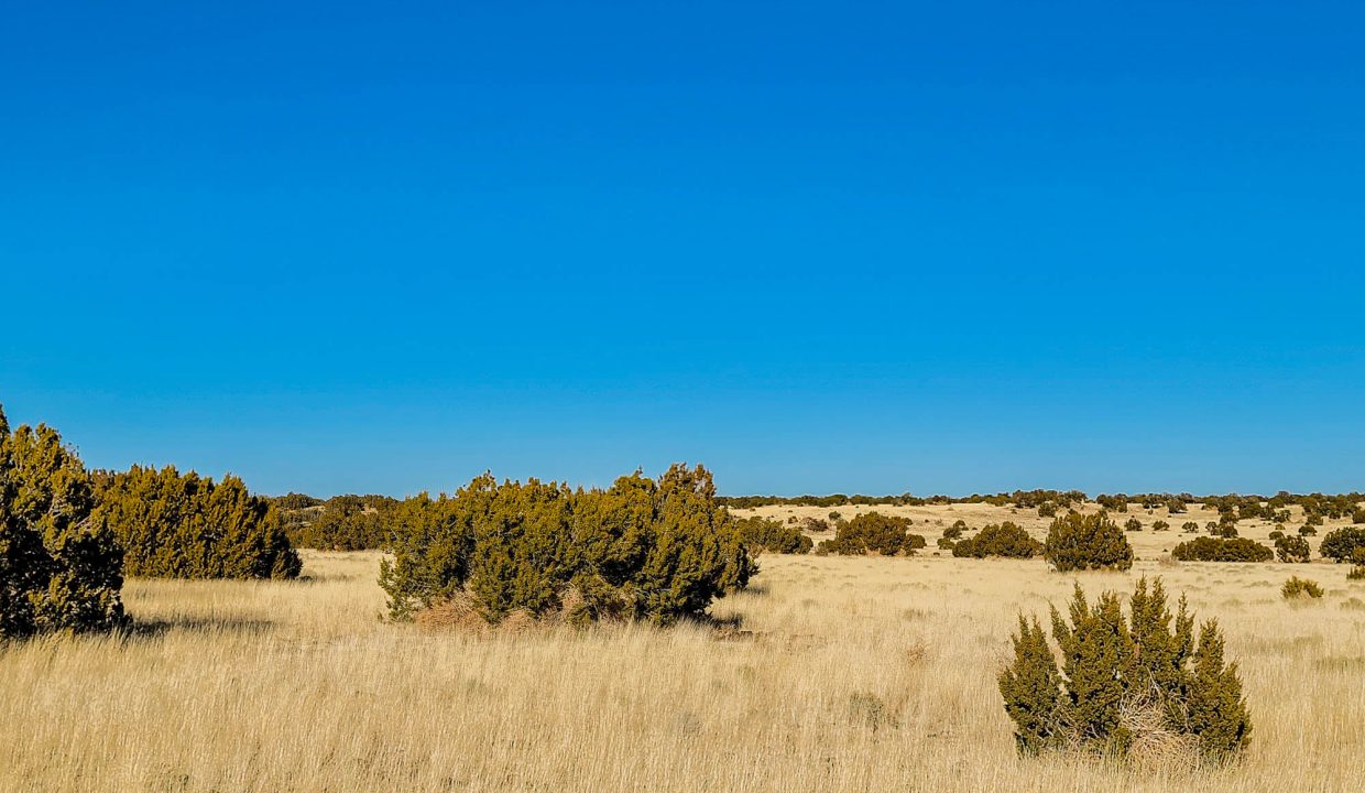 20220120_152346