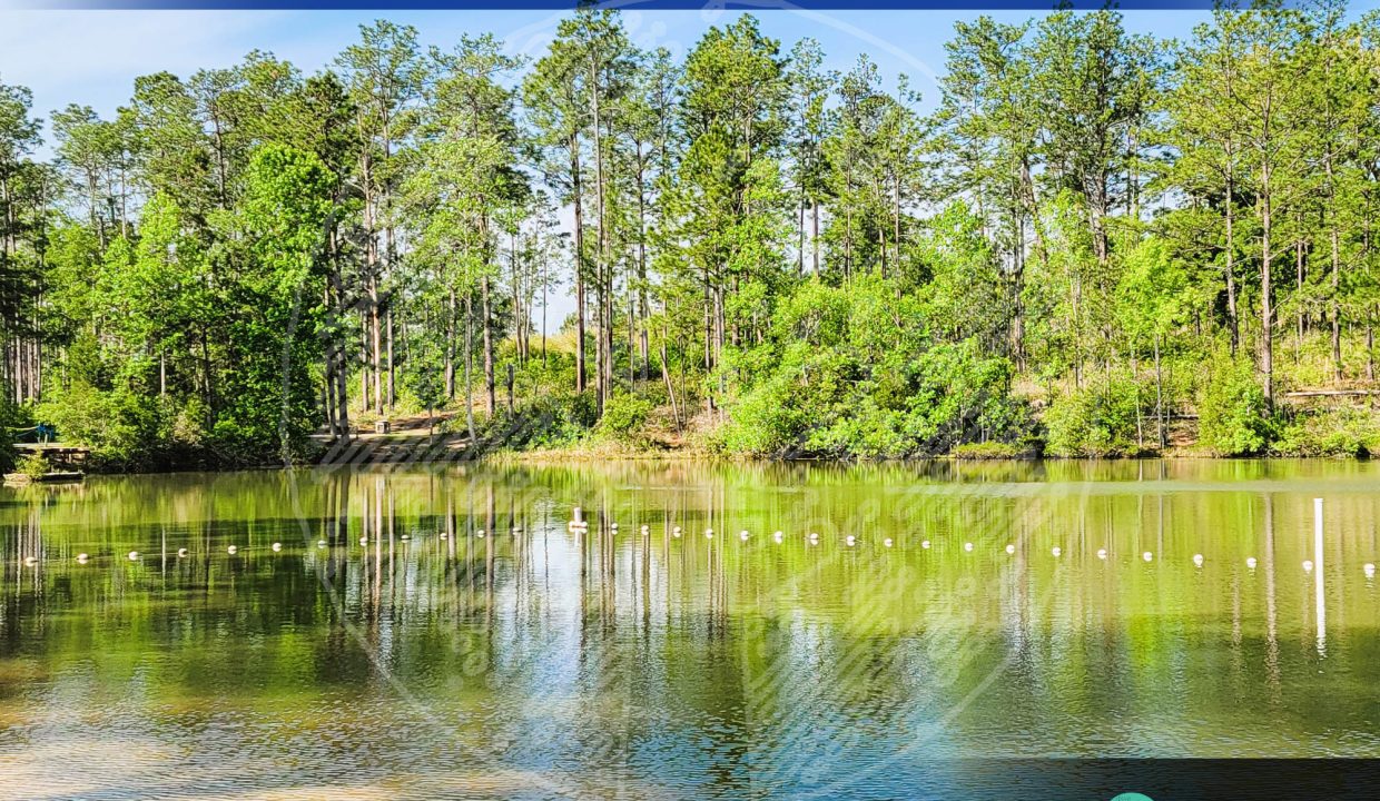 Falling Waters State Park - Turtle Lake