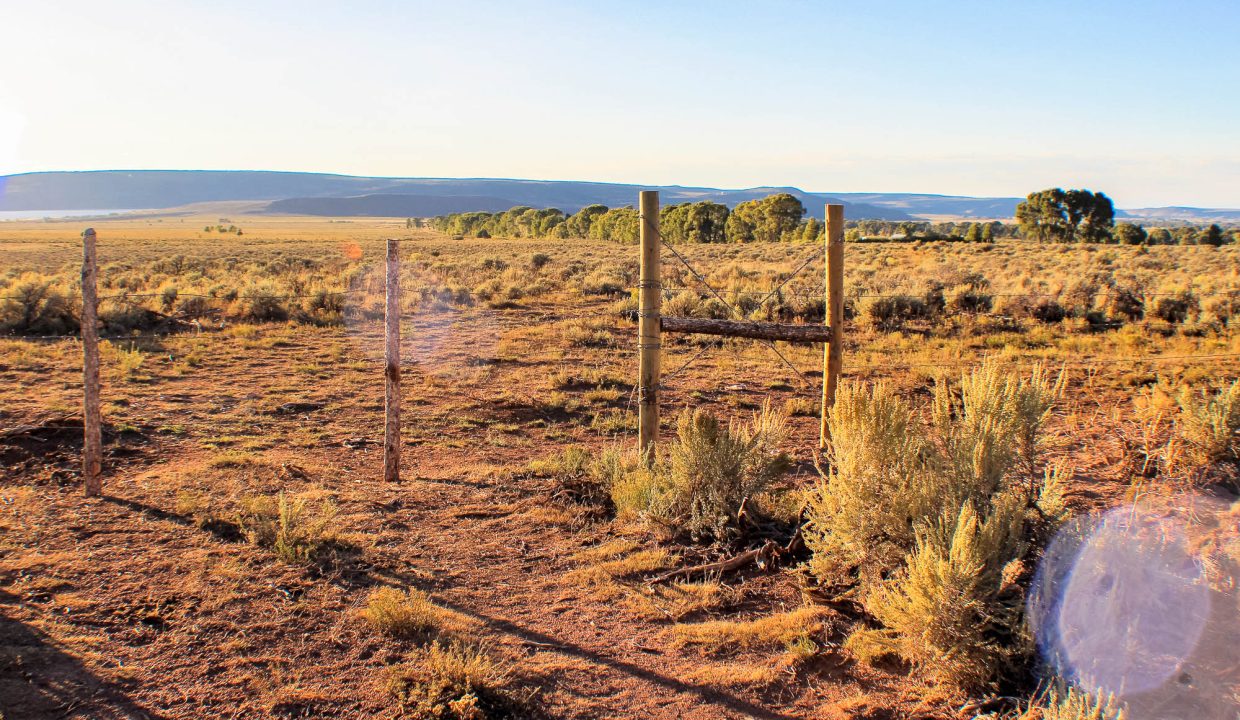 100-07-250-Nearby-ranchers fence near Rd 22.8