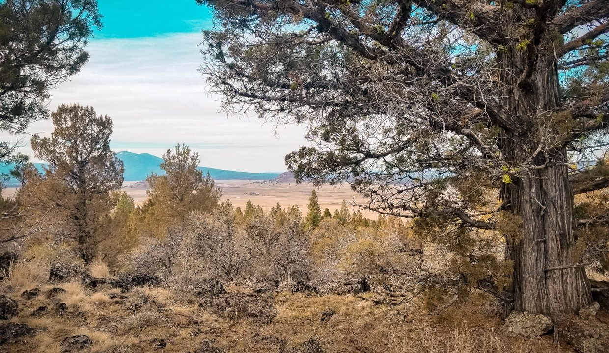 327202 NW Corner outside of property line towards bluff