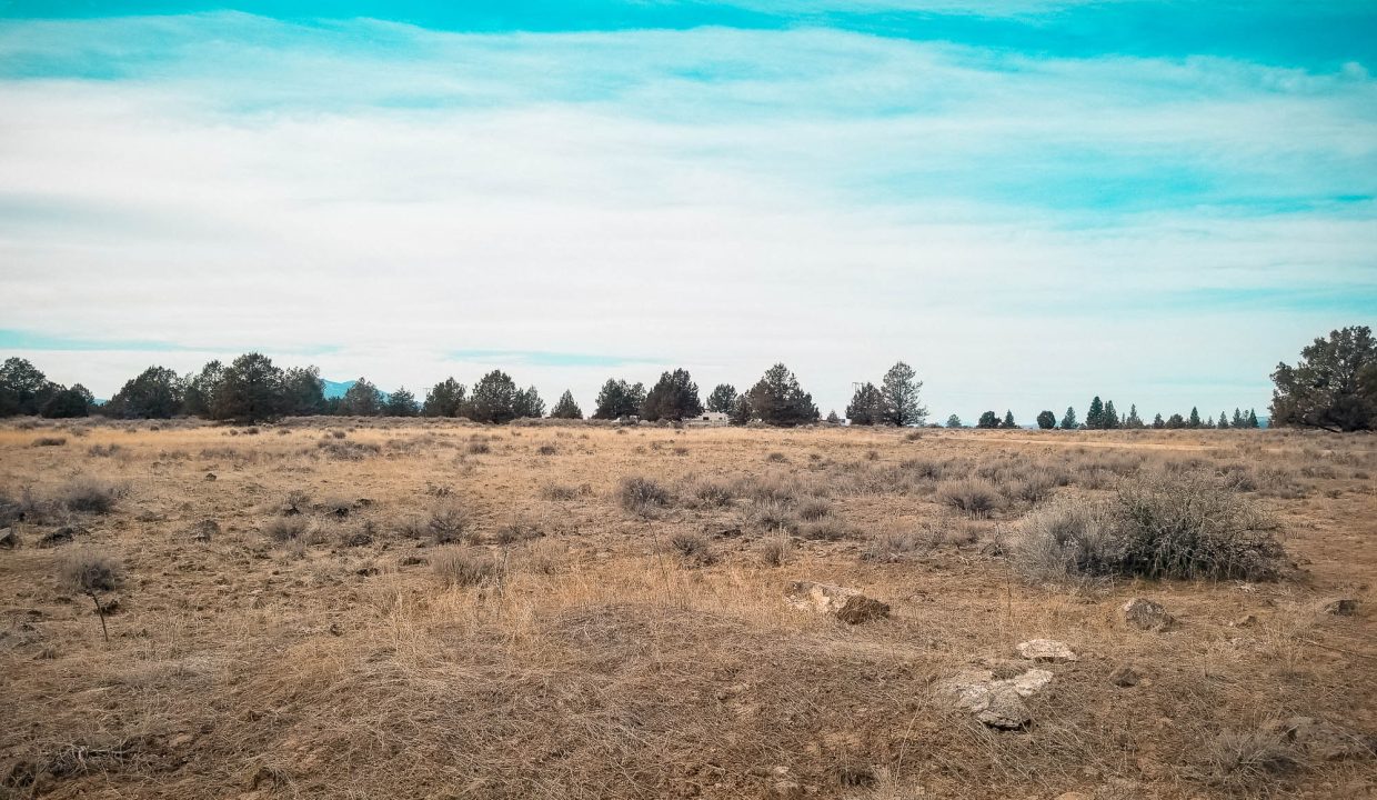 trailer to the west
