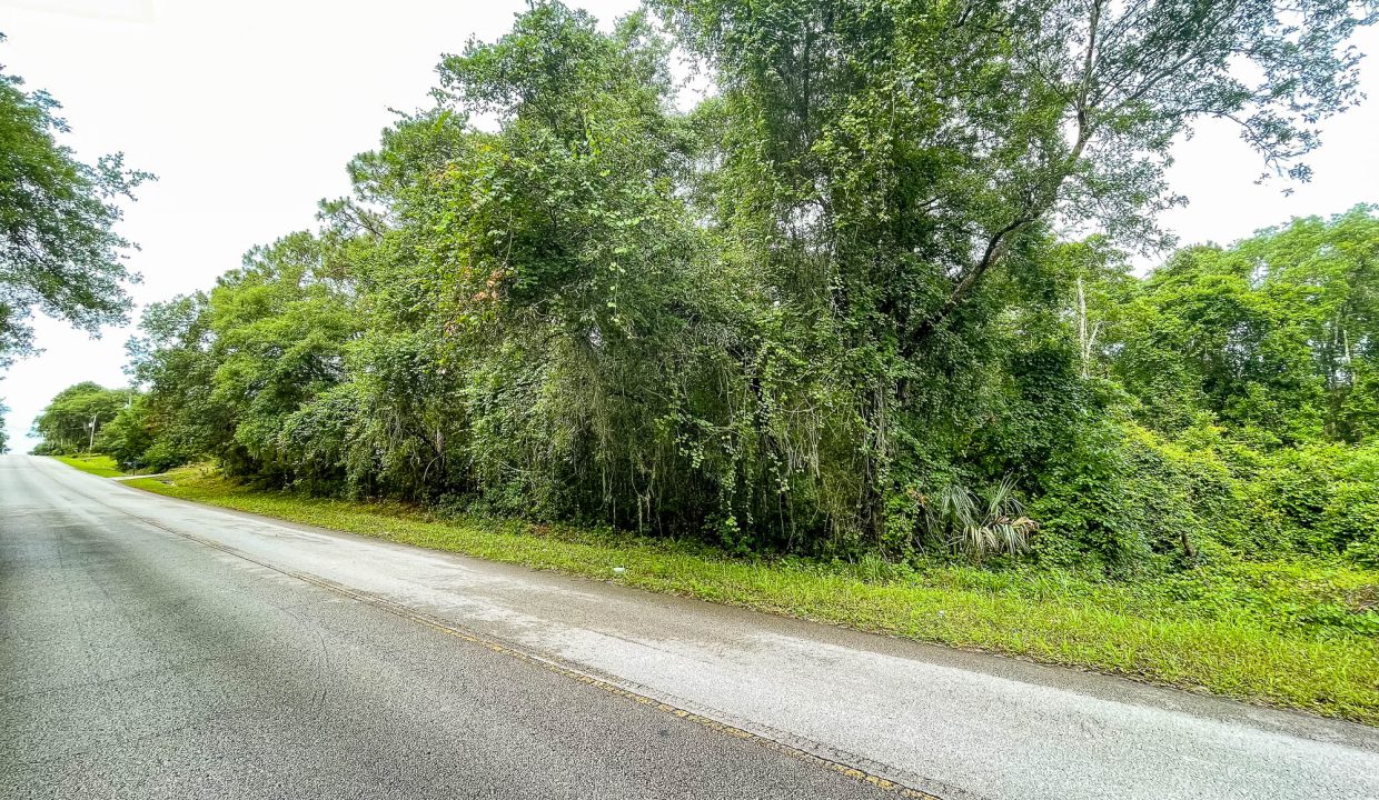 area image 7