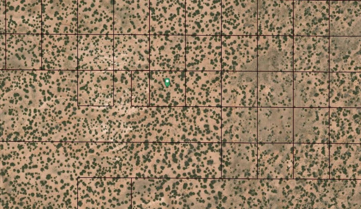 206-04-138_GIS 2