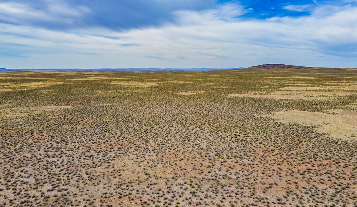 DJI_0185