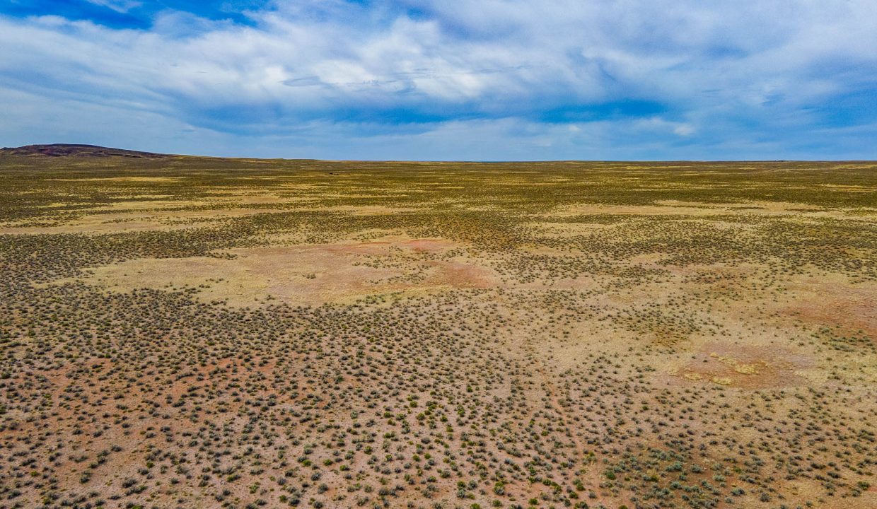 DJI_0186