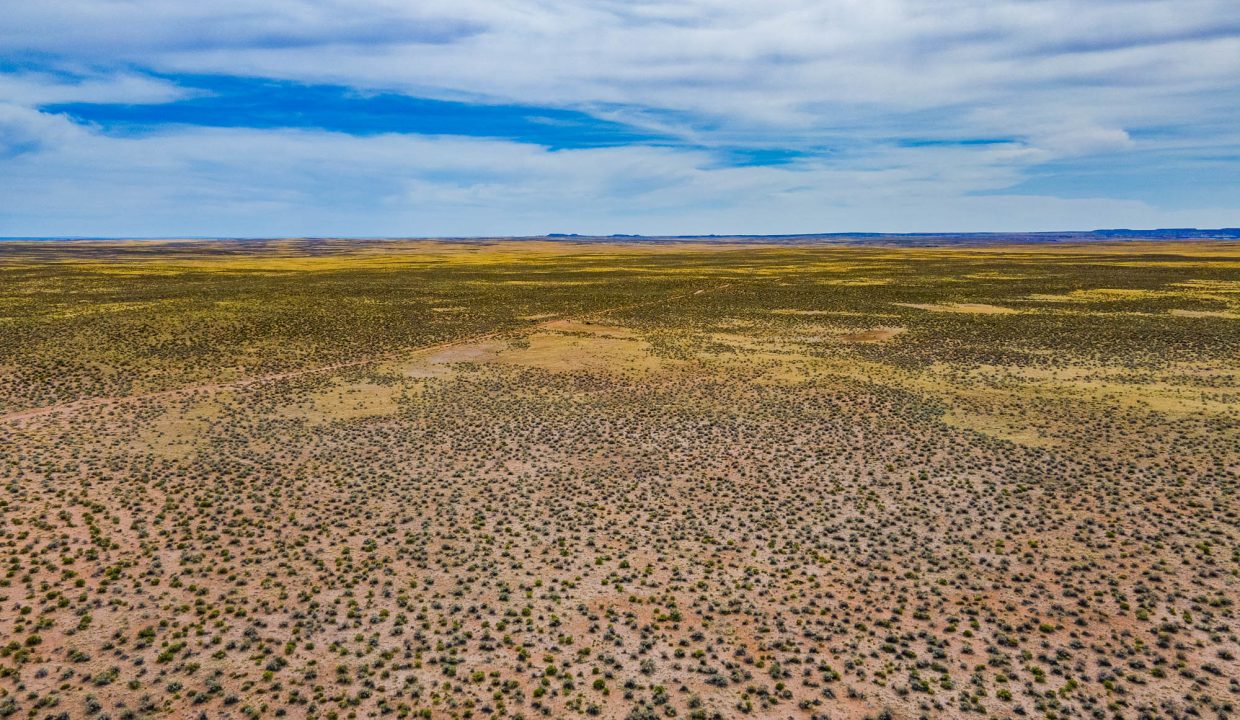 DJI_0188