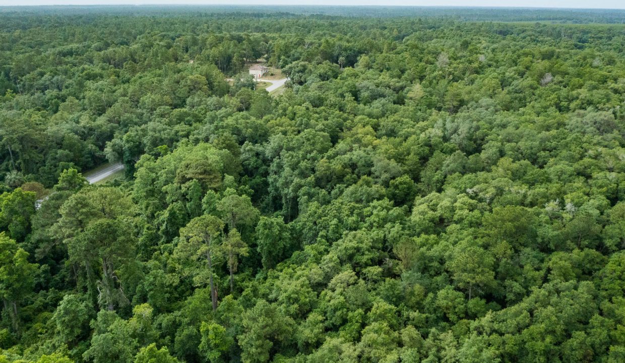 area image 2