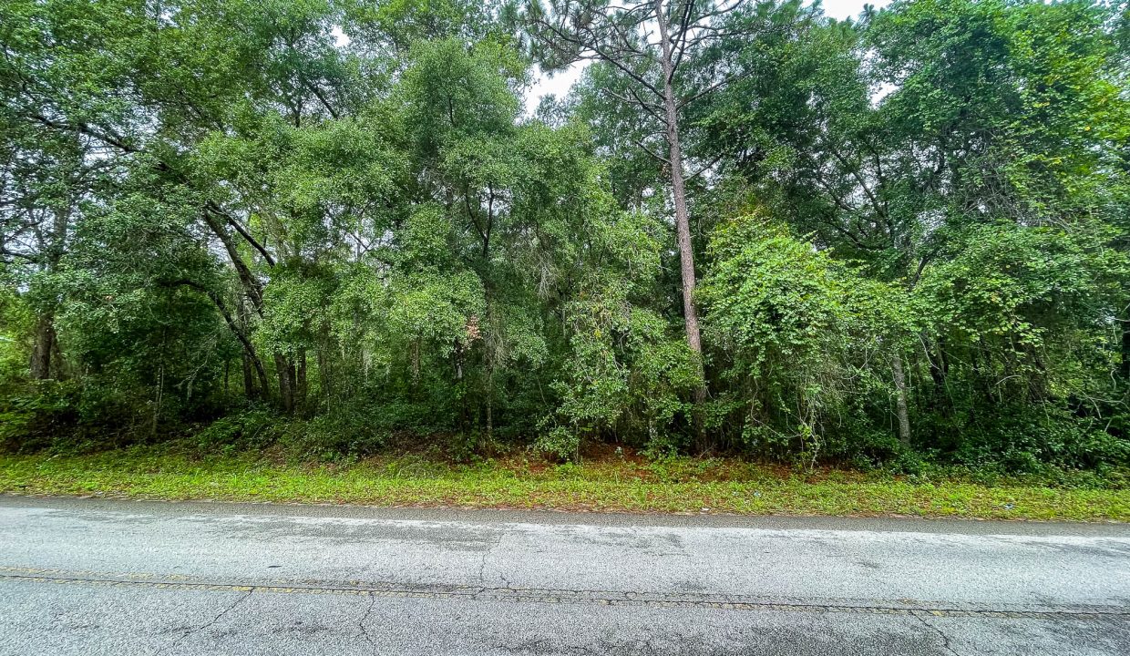 area image 5