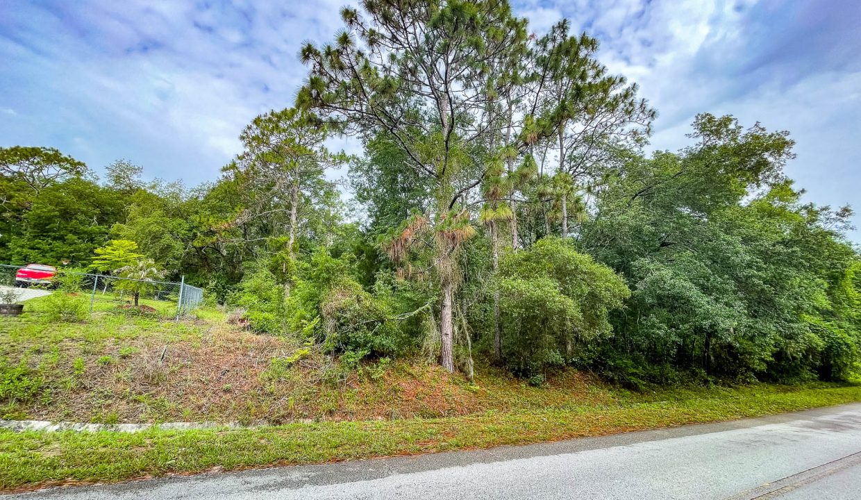 area image 6