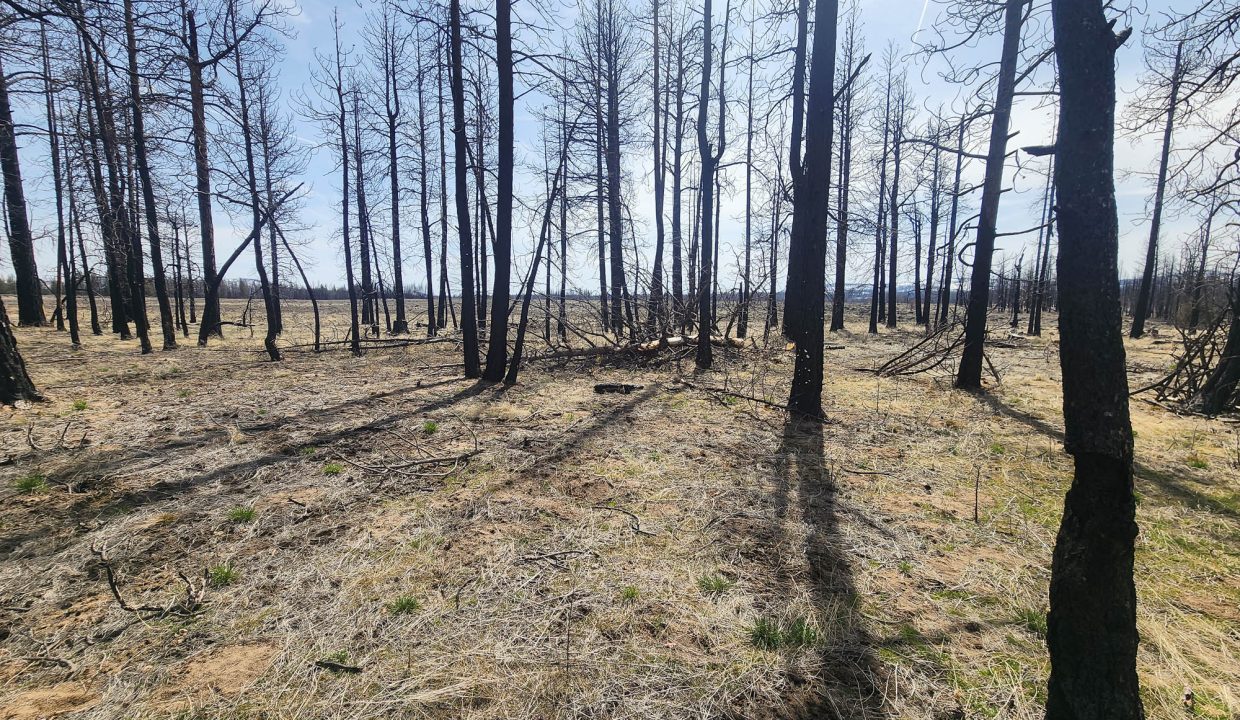 180413 NE corner looking SE