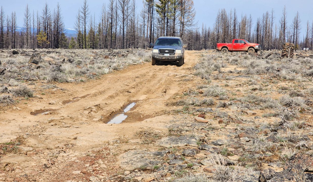 180413 Road along western edge of property 1