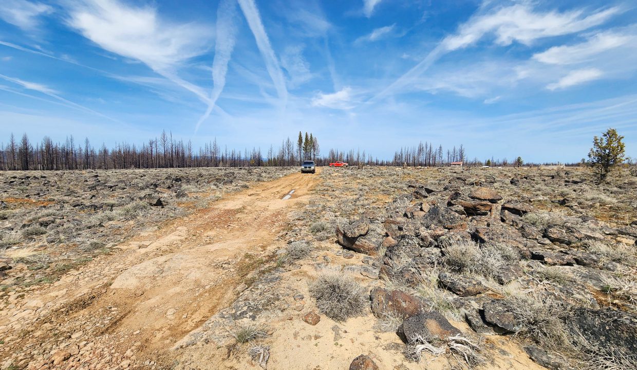 180413 Road along western edge of property 2