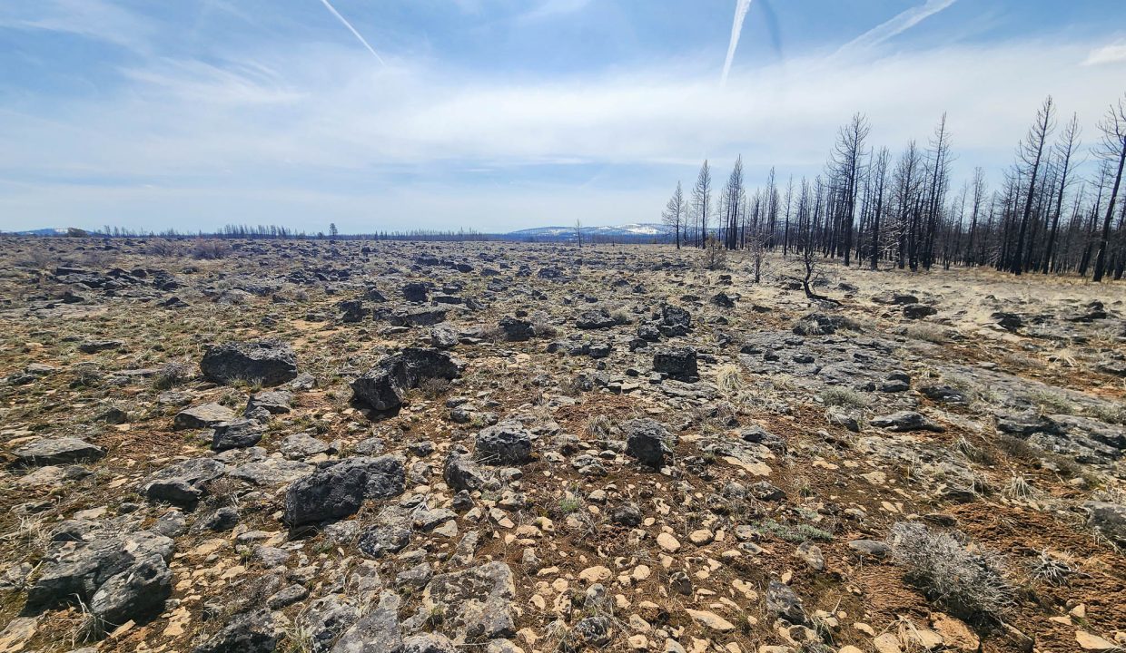180413 SE corner looking S